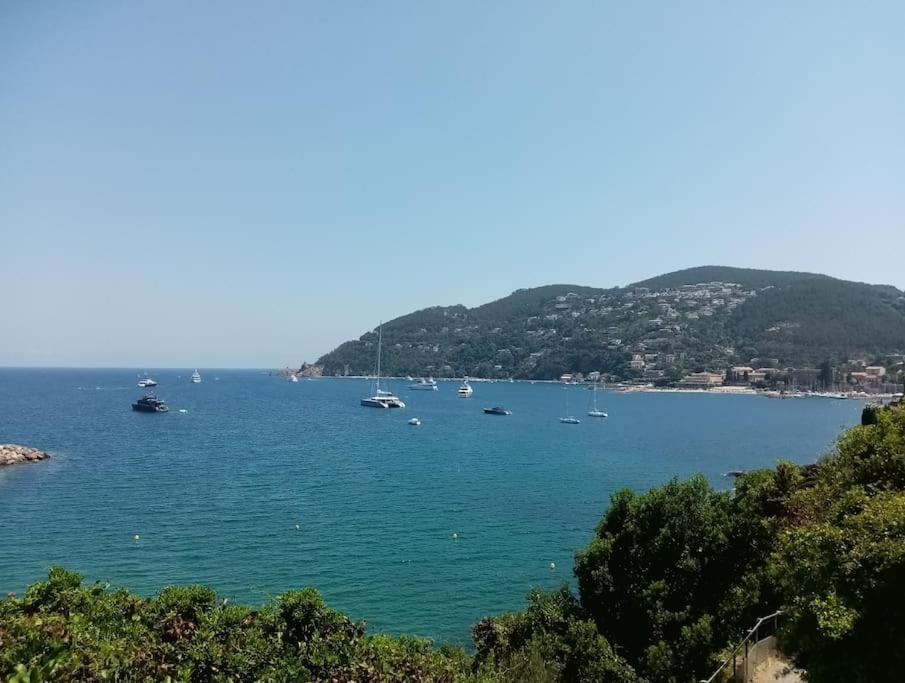 2 Pieces Climatise A 200M Des Plages Théoule-sur-Mer Eksteriør billede