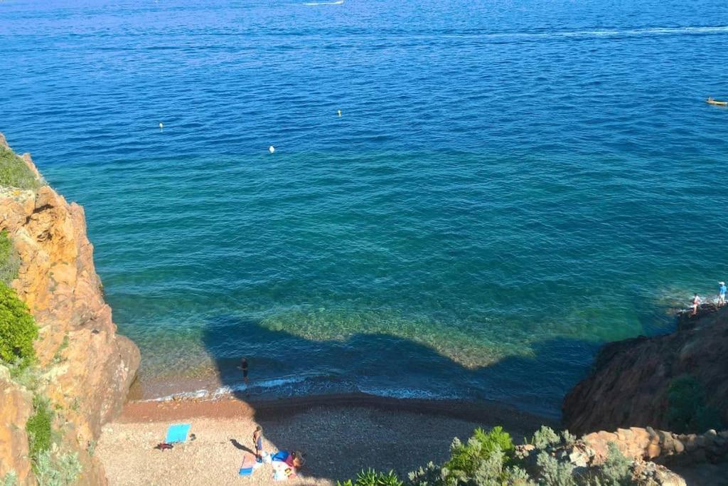 2 Pieces Climatise A 200M Des Plages Théoule-sur-Mer Eksteriør billede